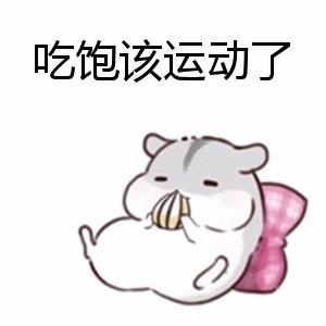 u=108250476,3883366085&fm=26&gp=0.jpg